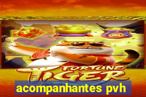 acompanhantes pvh